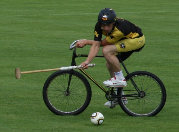 the Pessac Alouette team, 2010 French champion